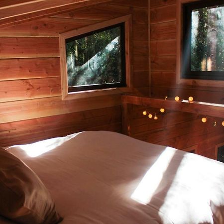 Cabanas Bosque Milenario Коньярипе Экстерьер фото