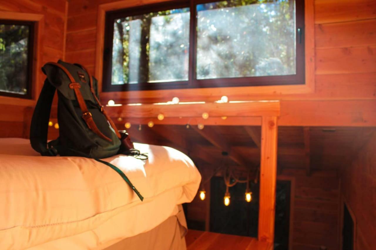 Cabanas Bosque Milenario Коньярипе Экстерьер фото