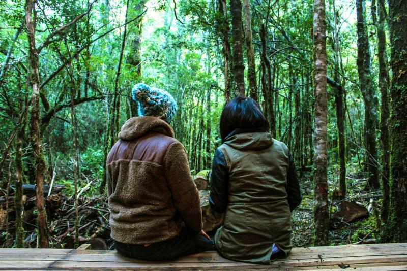 Cabanas Bosque Milenario Коньярипе Экстерьер фото